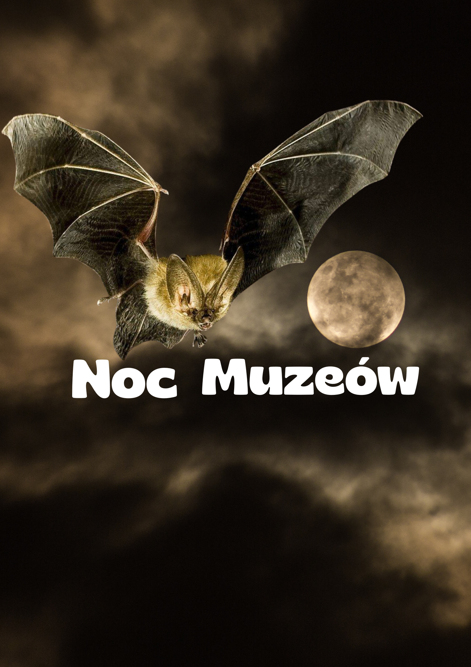 Noc Muzeów, czyli nocna podróż z nietoperzami