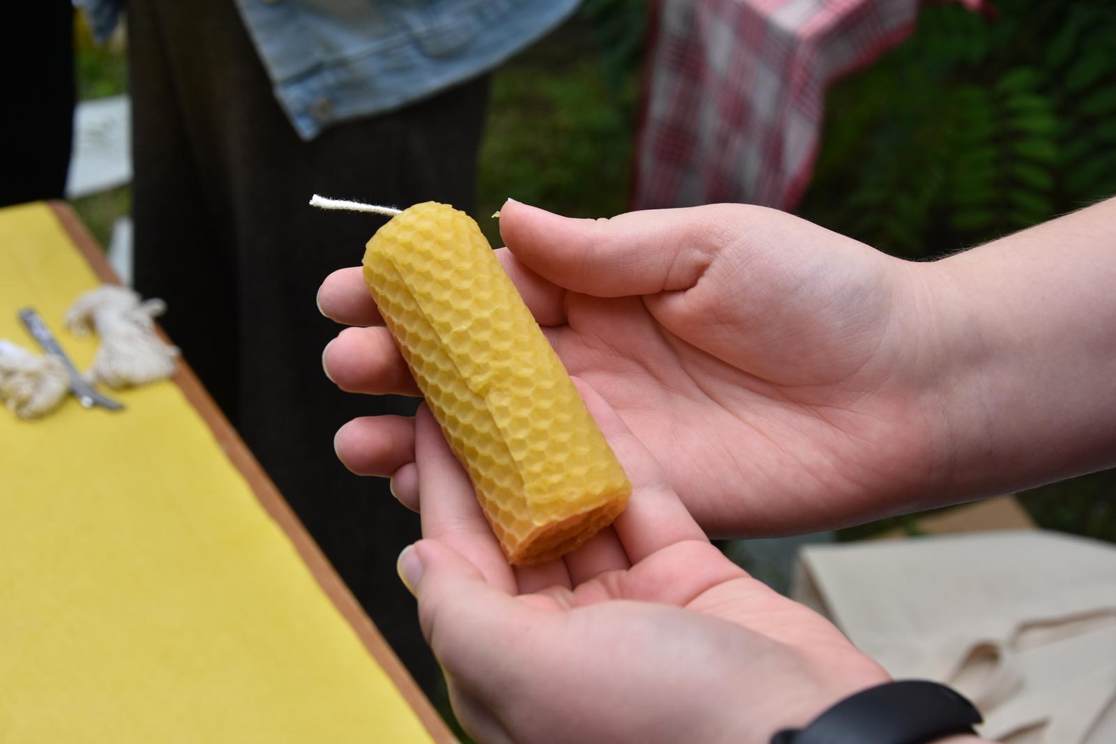Wielki Dzień Pszczół z Mazurskim Parkiem Krajobrazowym