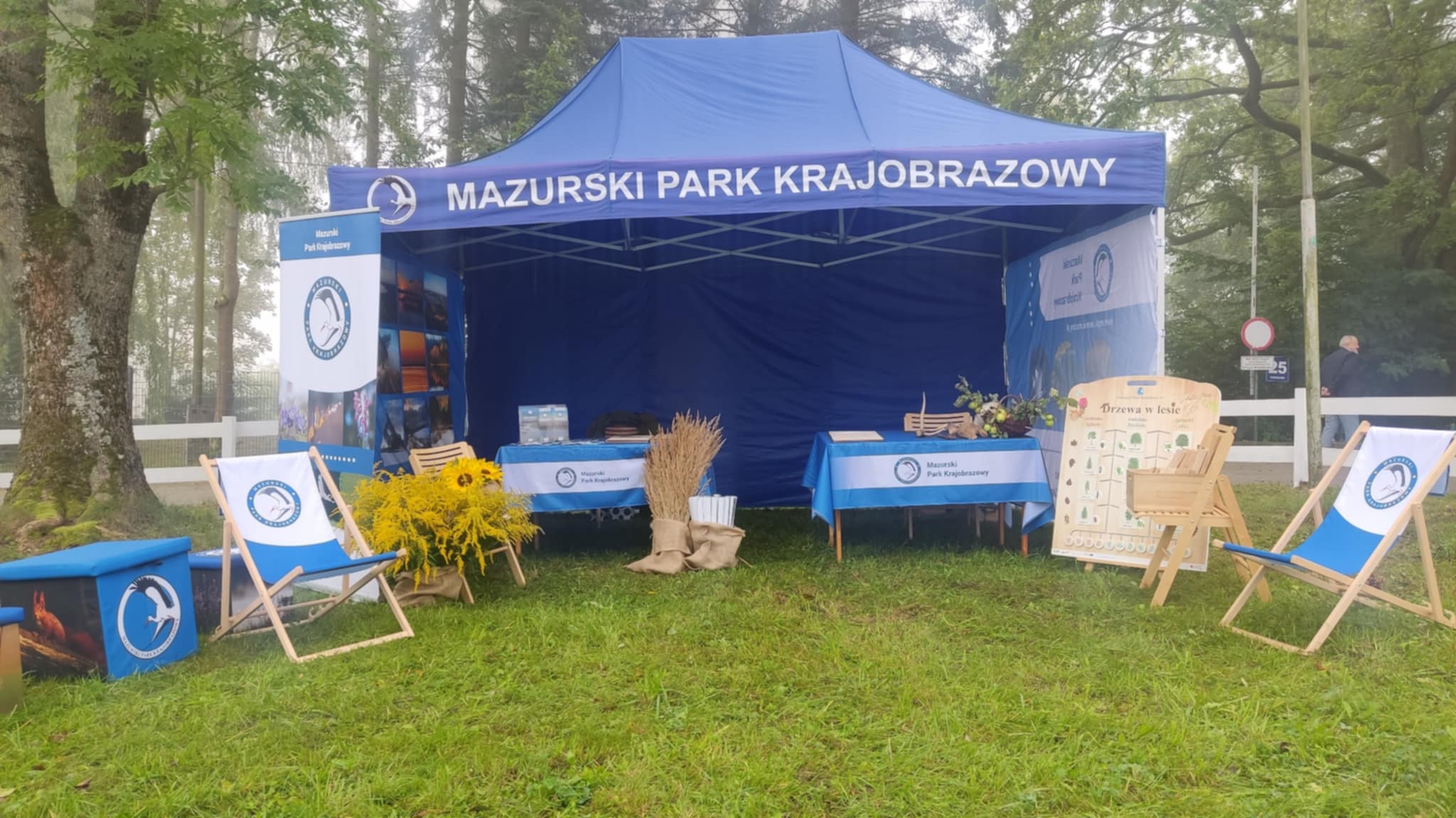 70 lat hodowli konika polskiego w Popielnie