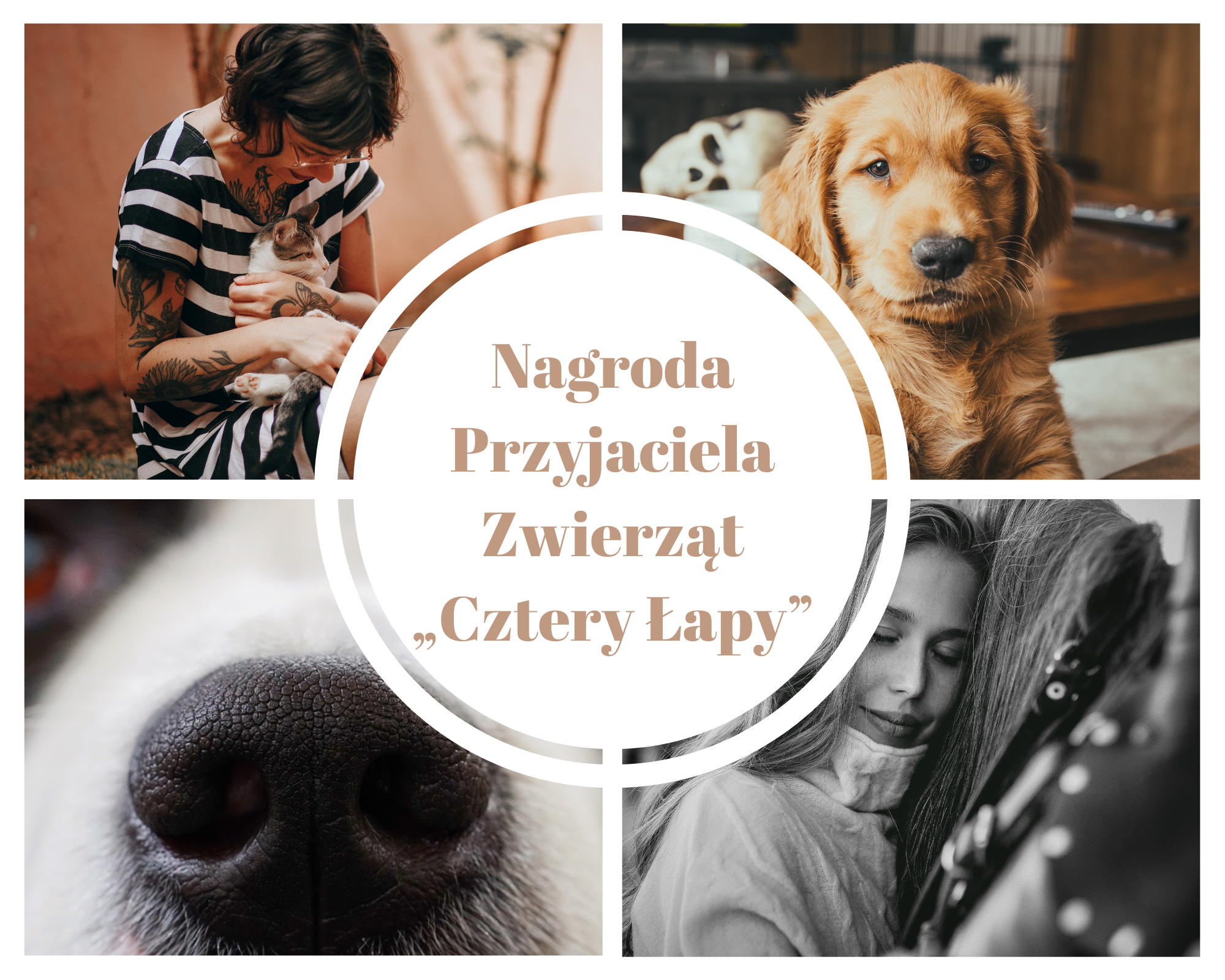 Rusza IV edycja Nagrody Przyjaciela Zwierząt „Cztery łapy”