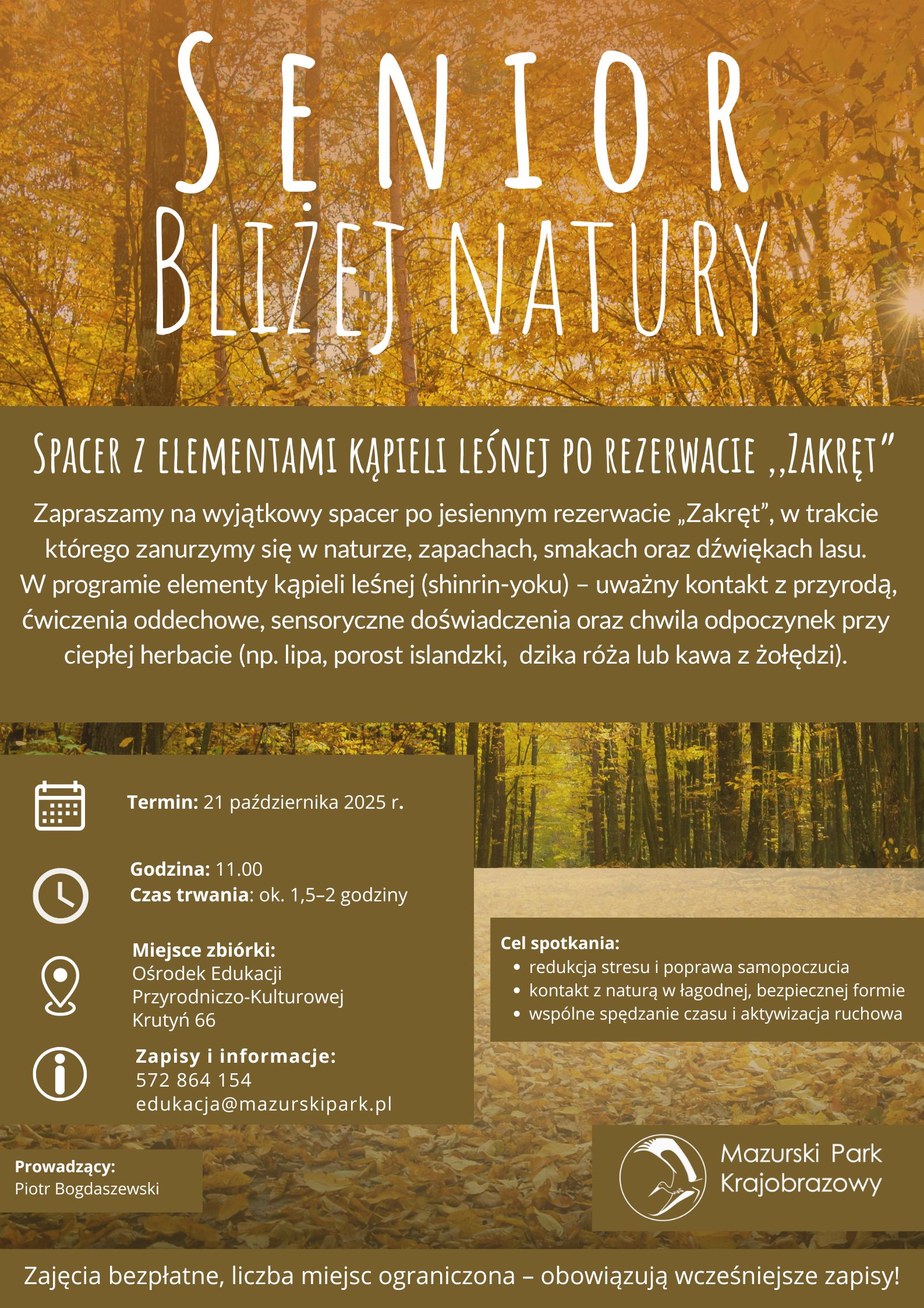 Senior Bliżej Natury – spacer z elementami kąpieli leśnej