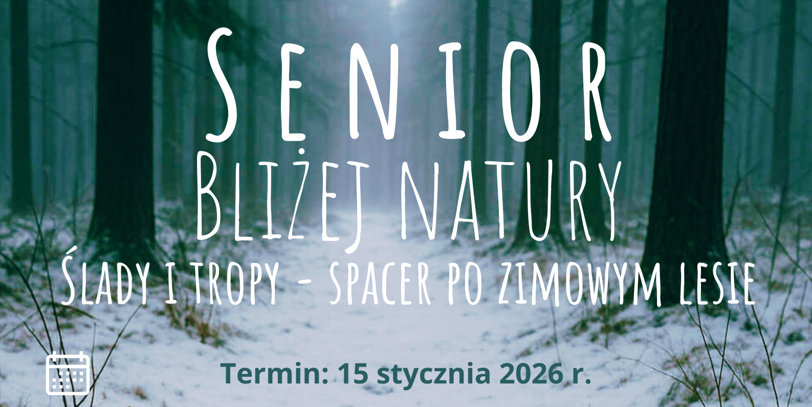 SENIOR BLIZEJ NATURY: ŚLADY I TROPY, CZYLI SPACER PO ZIMOWYM LESIE.
