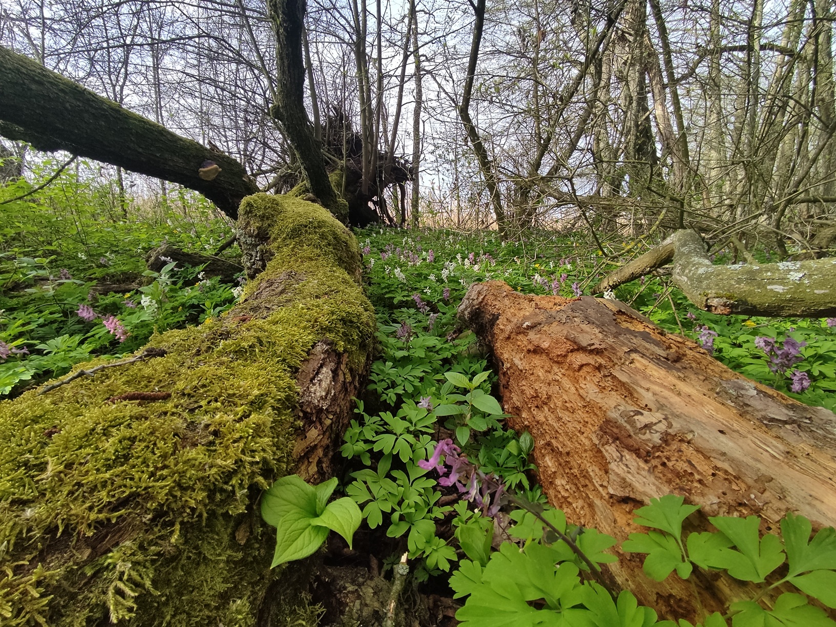 Projekty zrealizowane w 2025 roku